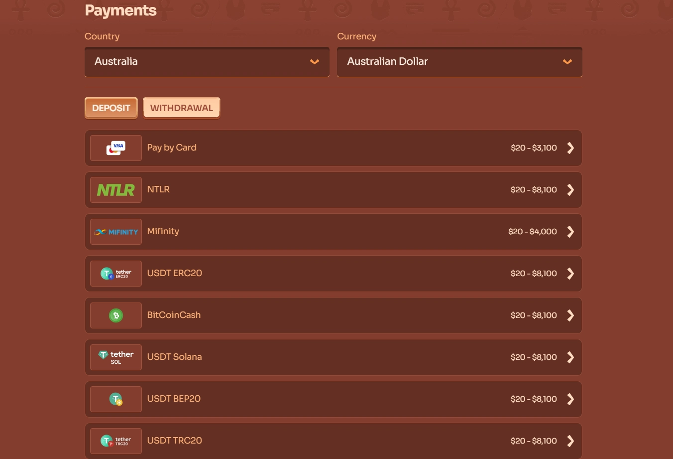 Payment options displayed within a casino account.